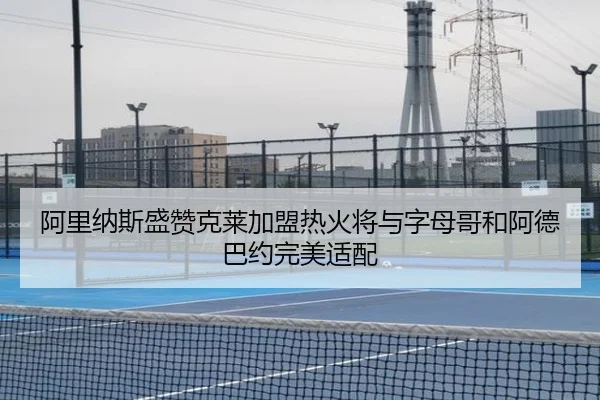 阿里纳斯盛赞克莱加盟热火将与字母哥和阿德巴约完美适配（kaiyun）