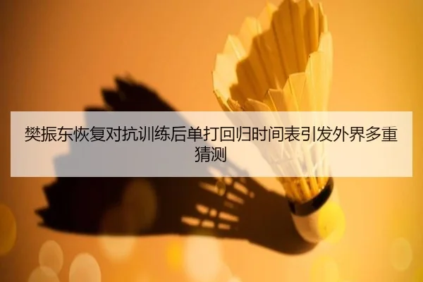 樊振东恢复对抗训练后单打回归时间表引发外界多重猜测 - kaiyun